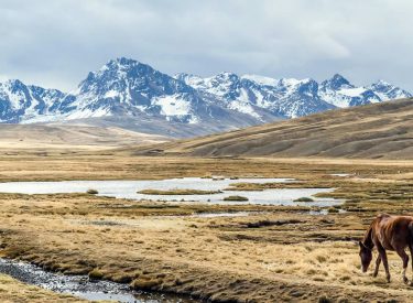 Ausangate Trek 6 Days - P12