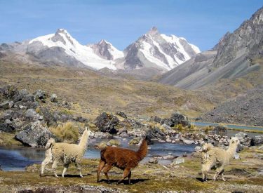 Ausangate Trek 6 Days - P4