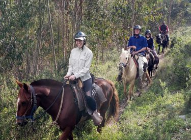 Horse Back Riding - City Tours Cusco - P1